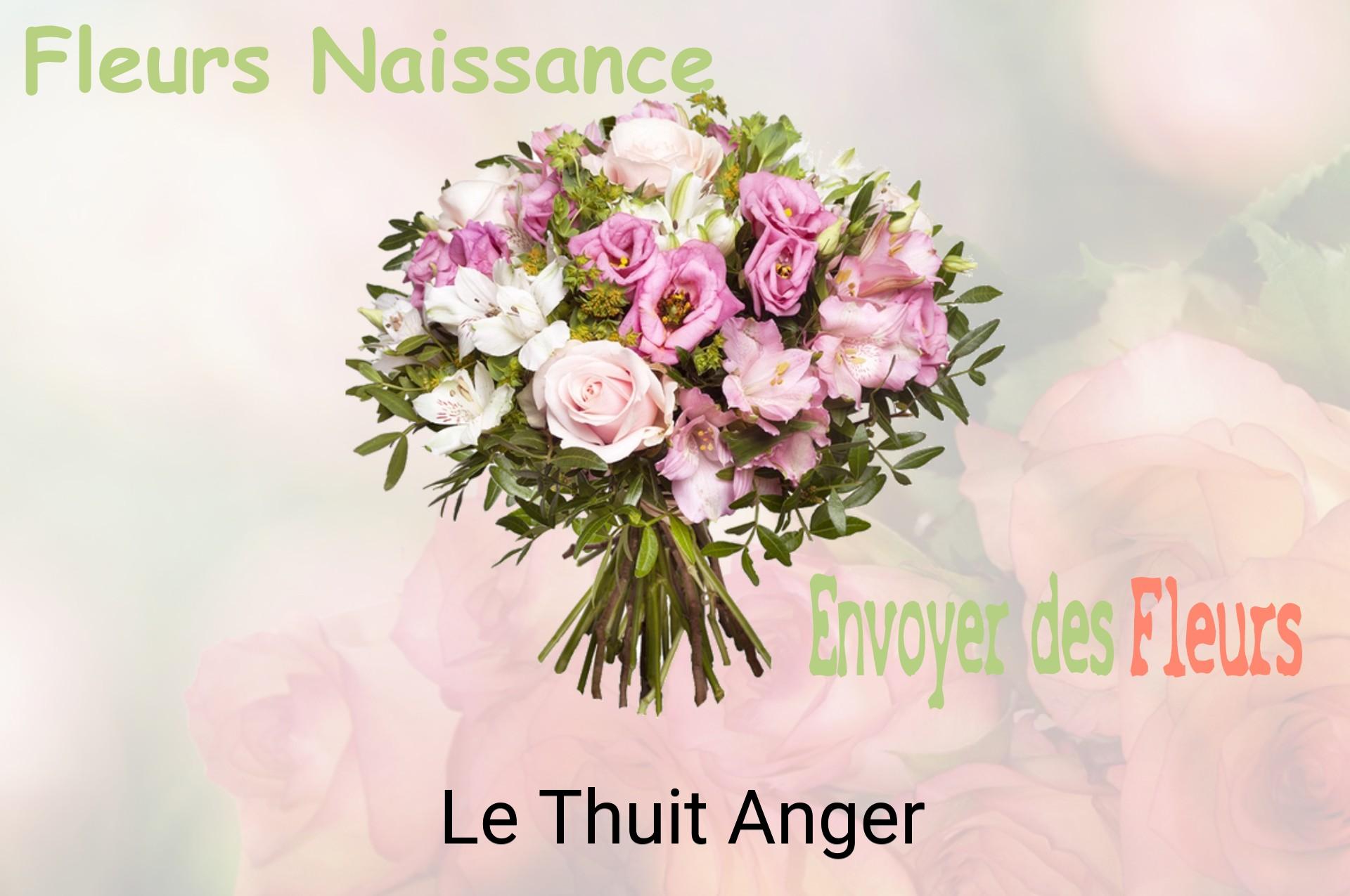 Bouquet de fleurs de naissance livré à Le Thuit-Anger